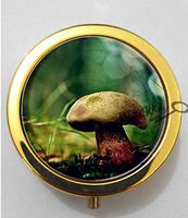 BlackKey Mushroom 3-Compartment Decorative Pocket Gift Box Case Organizer for Pill, Color 2 -334