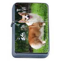 Dog Corgi 02 Oil Lighter