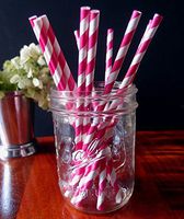 PaperLanternStore.com Fuchsia Striped Patterned Party Paper Straws (12 Pack)