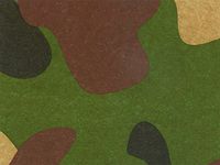 Pack Of 120, Masculine Camo Classic Printed Tissue Paper 20" X 30" Half Ream Made In USA