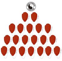 10 Pairs of Pin-Inserted Long Life Large Hand-Shaped Electrode Pads with Premium Gel for HealthmateForever Handheld Digital Physiotherapy Massager Devices (red)