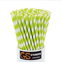 Green Striped Drinking Paper Straws for Birthday Party Wedding Baby Shower Biodegradable Straw Box of 100