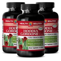 Hoodia Patch Hoodia - HOODIA GORDONII EXTRACT 2000 - Natural Fat Burner For Men 3 Bottles 180 Tablets