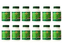 PBGS Plus (12 for the Price of 11) by 4Life - 120 ct / 12 Bottles by 4Life Research