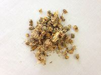 白菊花 / 杭菊花 | White Chrysanthemum