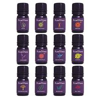 floraVerve Essential Verve Pack, Aromatherapy Essential Oils Starter Kit 12 X 5mL, 100% Pure & Natural, Peppermint, Lavender, Bergamot, Frankincense, Lemon, Orange, Rosemary, Tea Tree & 4 more
