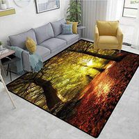 Bigdatastore Fall Checkered Children's Software Games, Blurry Hazy View of Forest Defoliation Mysterious Dramatic Dreamlike View, Fashionable High Class Living Dinning Room(2.5'x 9')