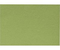 A1 Notecards (3 1/2 x 4 7/8) - Avocado (1000 Qty.)