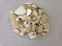 白芷 | Angelicae Dahuricae Radix