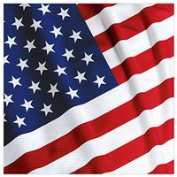 Creative Converting 16 Count Paper Beverage Napkins, American Valor