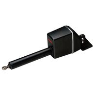 Raymarine Type 1 Linear Drive 12V