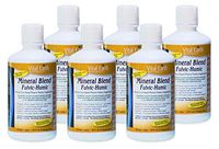 Vital Earth Minerals Mineral Blend Fulvic-Humic 32 Fl. Oz. Each (6 pack)