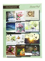 Faith Based Greeting Card Pack with Envelopes, Set of 12 (Secret Pal)