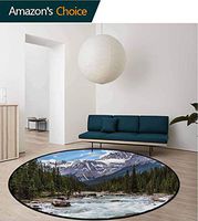 RUGSMAT Landscape Modern Machine Round Bath Mat,Winter Day Alberta Lifts Basket Swivel Chair Pad Coffee Table Rug Round-63