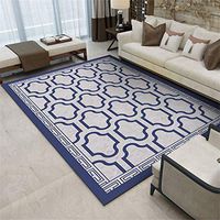 Rugs For Room, Velvet Fluffy Area Rug, Soft Touch Contemporary Area Carpet,Anti-Skid Yoga Mat