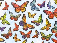 Nature Print Tissue Paper - Monarch Butterfly - 120 Sheets