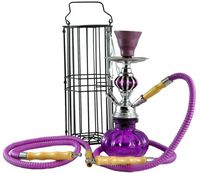 2 Hose Portable Pumpkin Hookah with Cage - 11-Inch - Purple