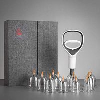 TTZ 12pcs/Set Chinese Health Care Medical Vacuum Body Cupping Therapy Cups Massage Body Relaxation Healthy Message Set