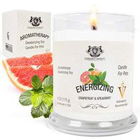 Grapefruit & Spearmint Aromatherapy Deodorizing Soy Candle for Pets, Candles Scented, Pet Odor Eliminator & Animal Lover Gift
