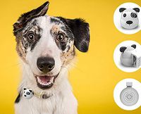G.O.A.T. Bluetooth Pet Speaker - Spot Dog - Shark Tank Winner 2018!