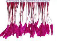 Zucker Feather Products Bleached Stripped Coque Feather, 6 to 8-Inch, Shocking Pink