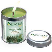Aurorae 6.8 oz Pine Scented Soy Aromatherapy Candle