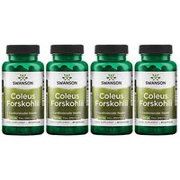 Swanson Coleus Forskohlii 400 mg 60 Caps 4 Pack
