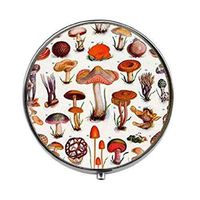 Psychedelic Mushroom - Botanical Art Photo Pill Box - Charm Pill Box - Glass Candy Box