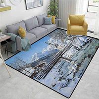 YucouHome Winter Large Size Area Rug Indoor, Panoramic View of Scenic Landscape in Bavaria Parish European Scenic Places, Fashionable High Class Living Dinning Room(6'x 9') Blue Brown White