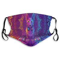 Mouth Masks for Dust Protection Anti Face Mask Washable Earloop Mask Activated Carbon Filter