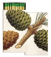 HomArt Matches - Pinecones (Set of 12)