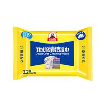 12pcs/1pack Cleaning Wet Wipes for Jacket Down, Travel Portable Disposable Multi-Surface Rinse Free Clean Wipes Artifact for Coat, Leather, Down Wear, Car Seats and Interior, Shoes