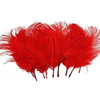 Happy Will 100 Pcs 15-20cm Real Natural Ostrich Feathers Great Decorations for Wedding Party (Red)