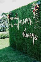 8x8 Feet Artificial Boxwood Hedge Backdrop Wall, Greenery Decor Wall for Party Decor/Event Wall/Birthday/Wedding/Photo Studio Background Wall (8ftx8ft)