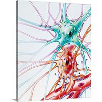 GREATBIGCANVAS Artwork of Drug Transmission to Brain Nerve Cell Canvas Wall Art Print, 16"x20"x1.5"
