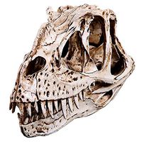 LXX Resin Crafts Dinosaur Tooth Skull Fossil Teaching Skeleton Model Horned Dragon Scientific Skull Replica Bone Skeleton Aquarium Decorative Craft