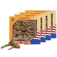DABC OAK LAND 4OZ*4=453g/ 4 Boxes Hand-Selected American Wisconsin Farmed Ginseng Root | Long Small |美国威斯康辛州 长枝西洋参 花旗参 | Cultivated Wisconsin American Ginseng WI 063# Box
