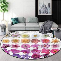 RUGSMAT Flower Round Rug,Flowers Petunia Botanic Non-Skid Bath Mat Living Room/Bedroom Carpet Round-59