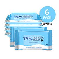 Alcohol Wipes 75% Alcohol Wet Wipes, Portable Hand Alcohol Wipes for Family All Daily Protection(6 Packs,60 Wipes)
