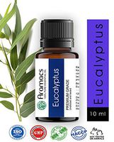 Eucalyptus Oil - Pure and Undiluted Therapeutic Grade Essential Oil 10 ML