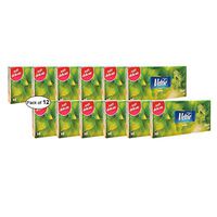 Veltie Aroma Pocket Tissues- Fresh Mint (10 in 1 Pack) (Pack of 12)