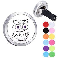 SG Owl Car Air Freshener Aromatherapy Essential Oil Diffuser Stainless Steel Locket