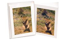 JS Designs Happy Runner Blank White Note Card (5.5" x 4.25") Pack of 6 , Comes with White Envelope , Printed in USA , Running