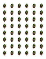 tkcutecandies123 48 Peacock Feather Envelope Seals Labels Stickers 1.2" Round