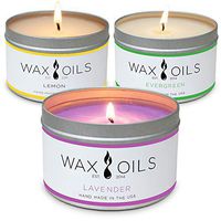 Scented Candles - Lavender, Lemon, Evergreen (Pack of 3) Soy Aromatherapy, 8oz