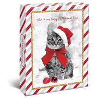 Graphique Holiday Cats Assorted Boxed Christmas Cards - 20 Cute Cats in Christmas Clothes, 4 Designs & Embellished With Red and Gold Glitter, Holiday Cards Includes Matching Envelopes and Storage Box, 4.25" x 5.875"