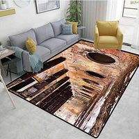 TableCoversHome Industrial Plants Area Rug Slip Pad, Old Ruins Polluted Town Pattern Printing Door Mat, Durable Rugs - Living, Dinning, Office, Rooms & Bedrrom, Hallway Carpet (2'x 6')