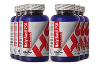 Basil Extract - HOLY Basil Extract - Boost Heart (6 Bottles)