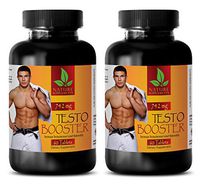 Male Enchantment Testosterone - Testosterone Booster 742Mg - Testosterone Booster Pills for Men - 2 Bottles 120 Tablets