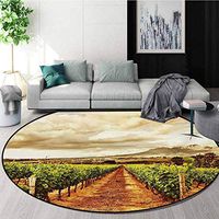 Country Anti-Skid Area Rug,Grape Valley Clouds Over Vineyard Fruit Plantation Digital Print Green Soft Area Rugs,Diameter-39 Inch Burnt Orange Green Off White